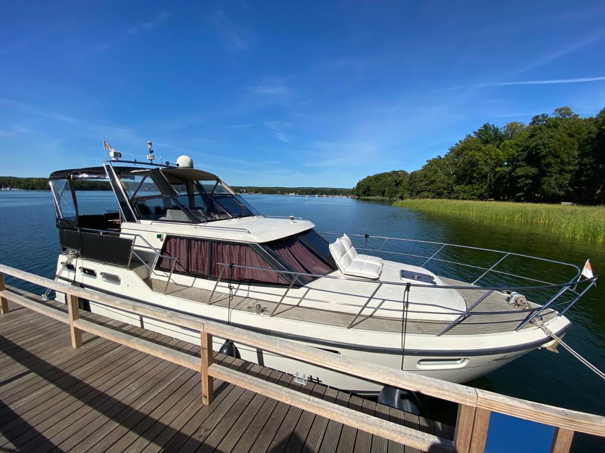 Luxusurlaub Auf Der Amavida Yacht / Scharmützelsee