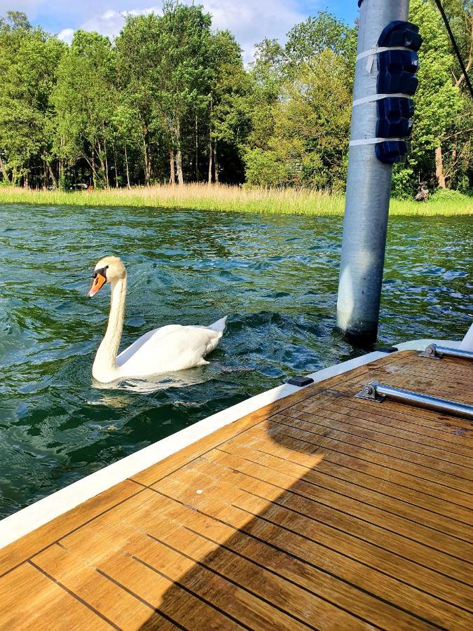 Luxusurlaub Auf Der Amavida Yacht / Scharmützelsee